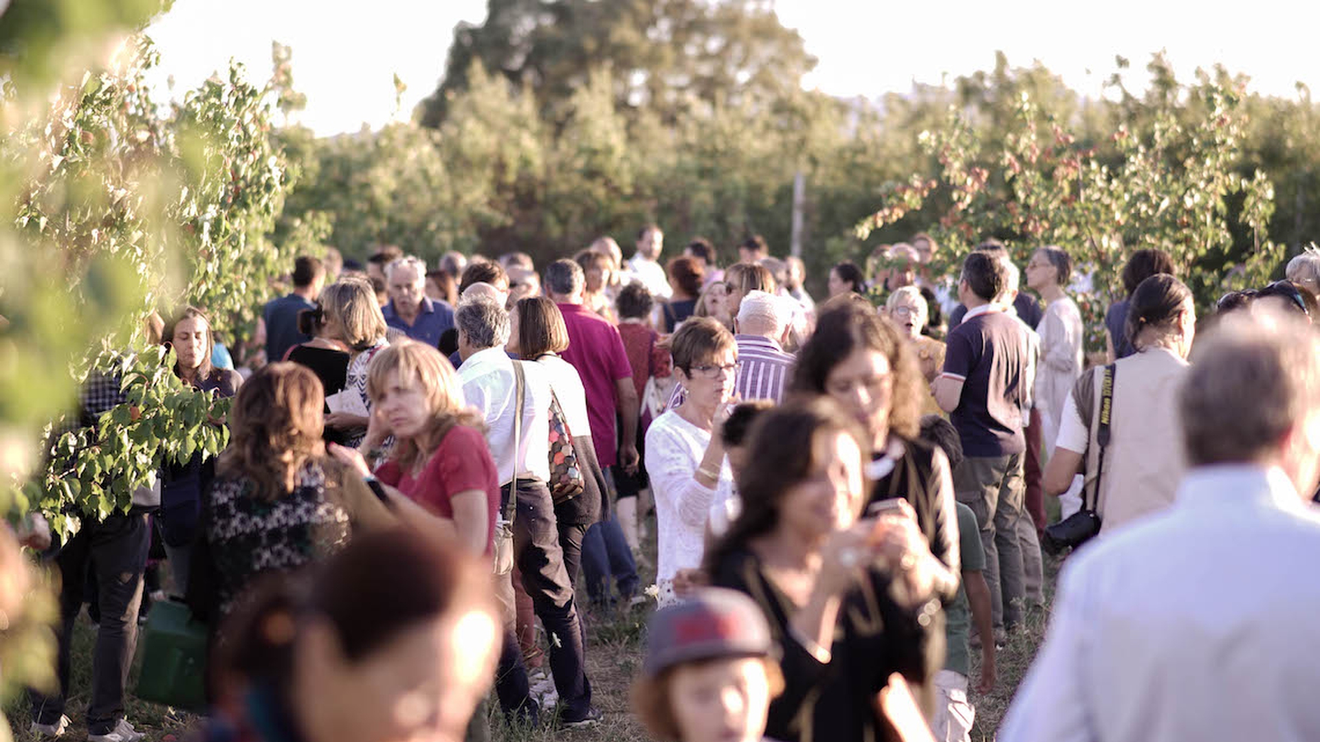 La seconda tappa di Campi da sapere di Alce Nero: la frutta