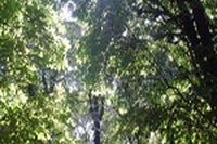 Visioni d’estate