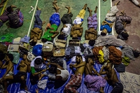 The plight of the Rohingya, the drifting invisible community
