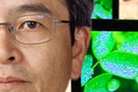Sony fa i conti con le emissioni di CO2. Per ridurle