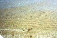 Messaggi dall’acqua