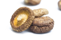 Funghi shiitake secchi: come cucinarli e quali sono i benefici?