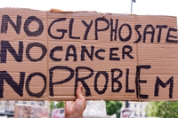 Glyphosate, 1 million signatures are needed to ban it in Europe