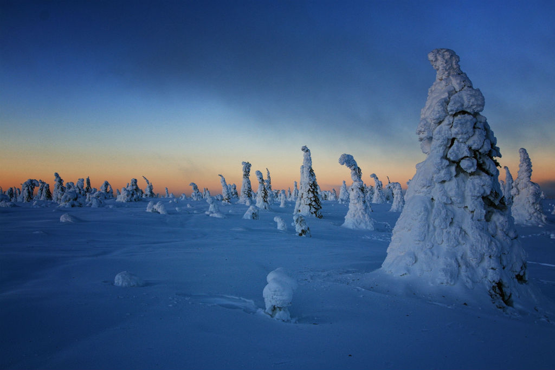 Riisitunturi IMG_9632 CEP