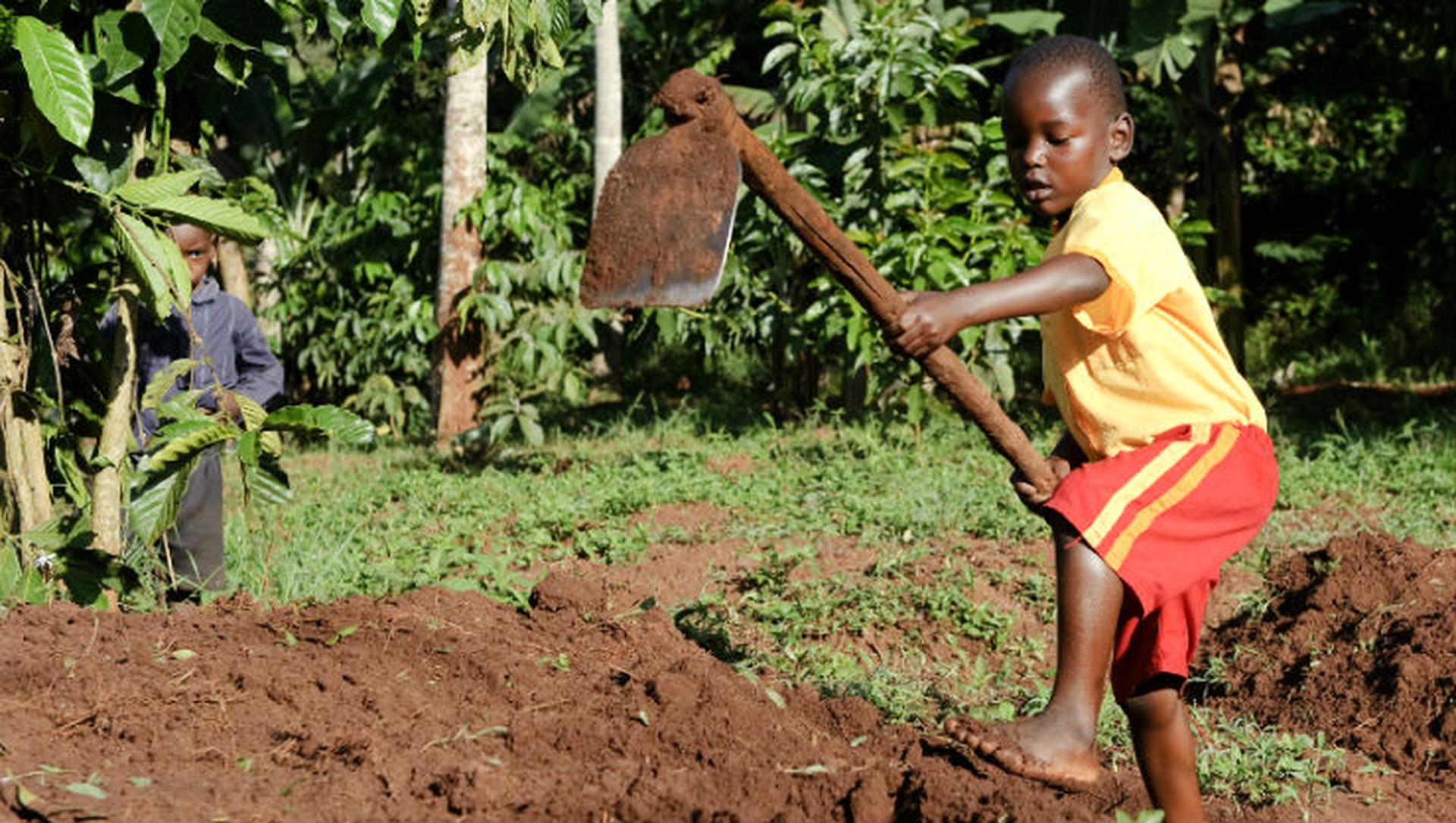 Slow Food for Africa. 10.000 orti per coltivare il futuro