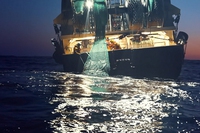 Seaspiracy, il documentario sugli oceani che ci cambierà per sempre è arrivato su Netflix