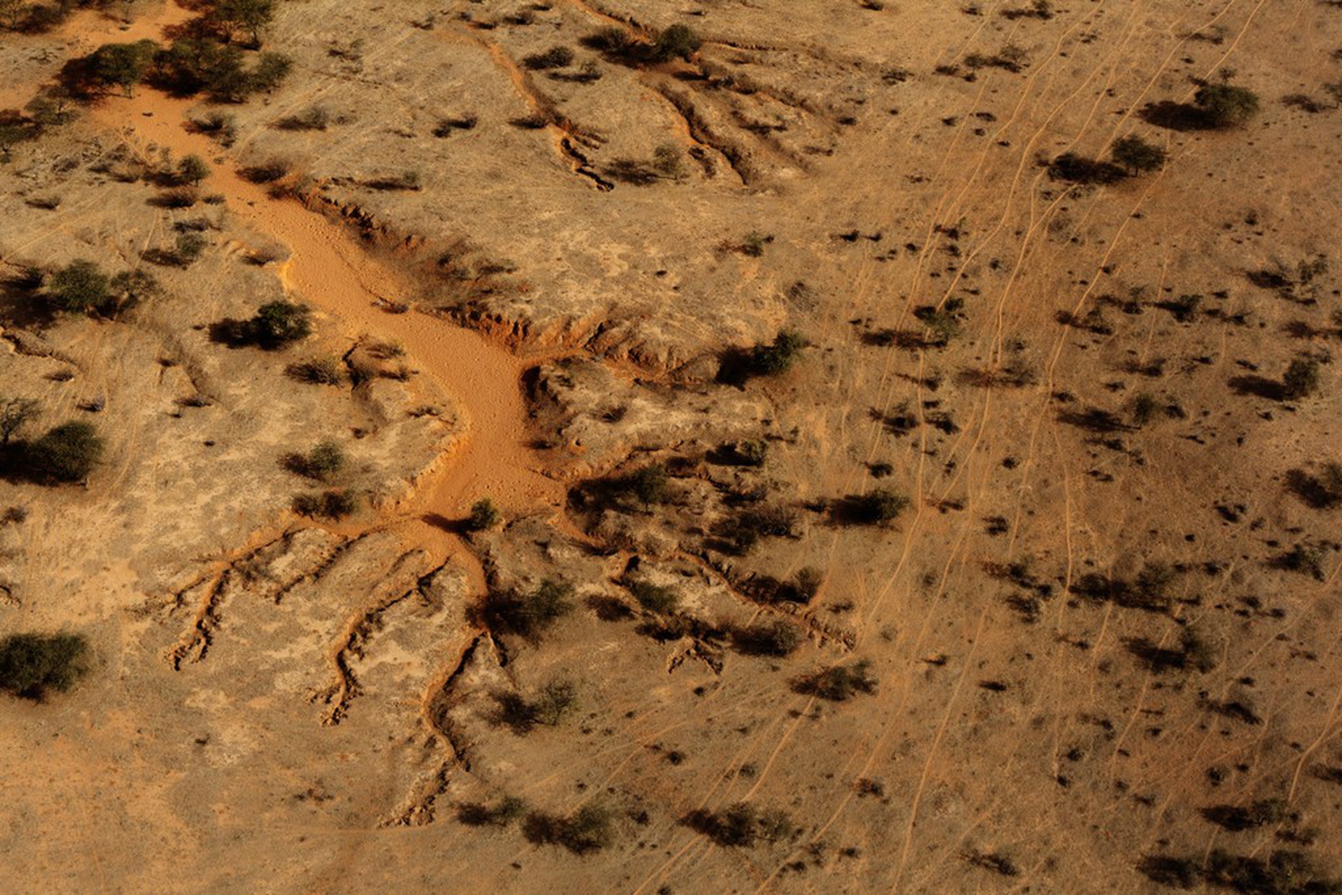 Sahel, Africa subsahariana