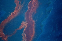 Polcevera, cede la diga di contenimento del petrolio Iplom. Chiazze in mare