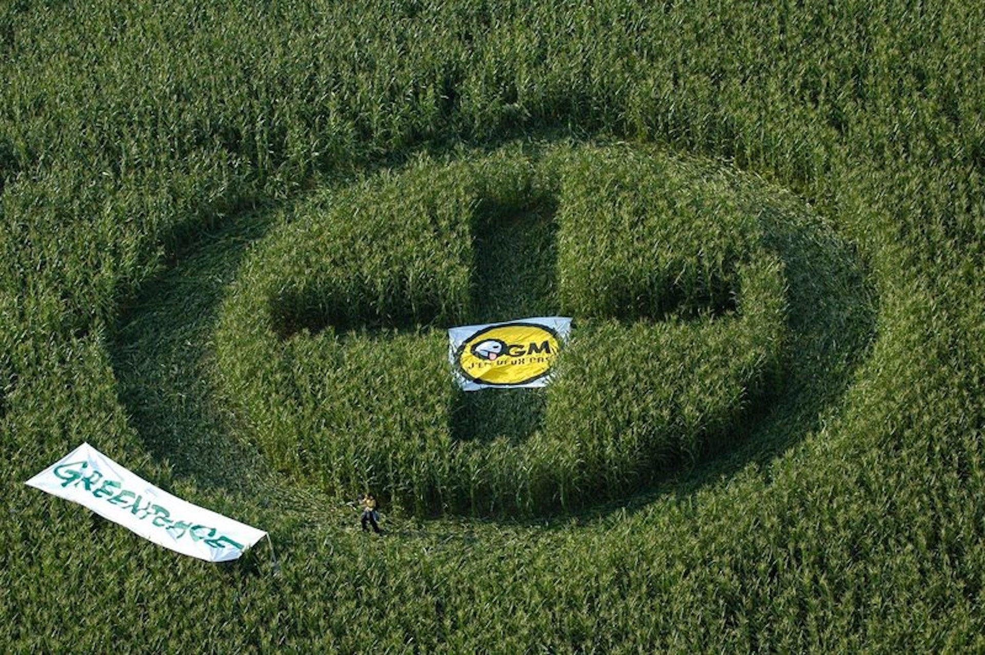 50° anniversario Greenpeace