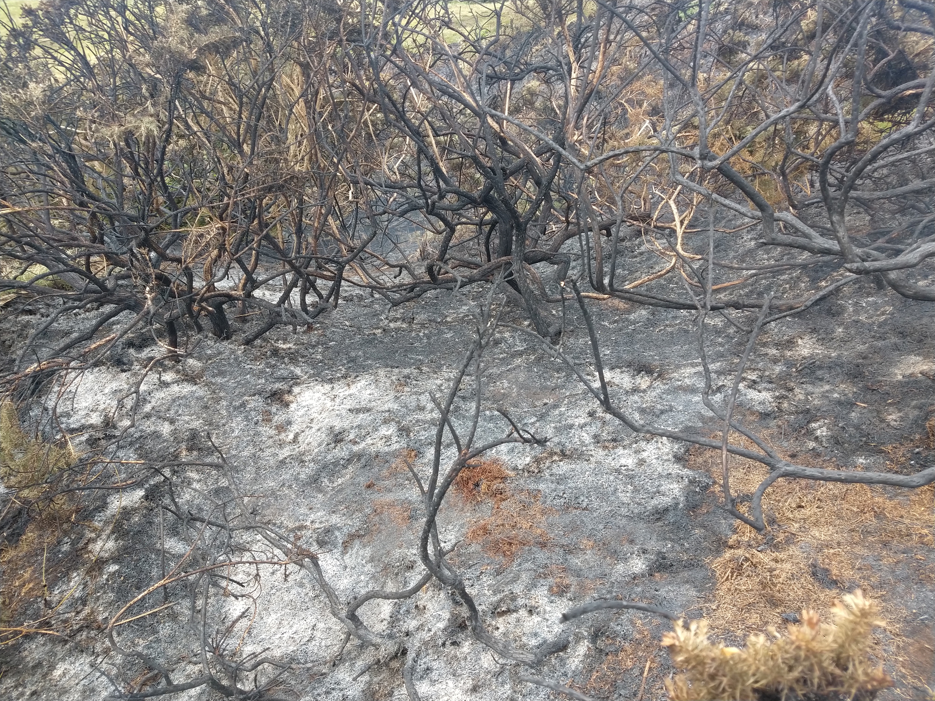 Small fire at Murlough