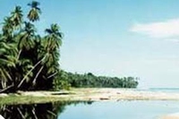 Punta Mona, una realtà alternativa e sostenibile