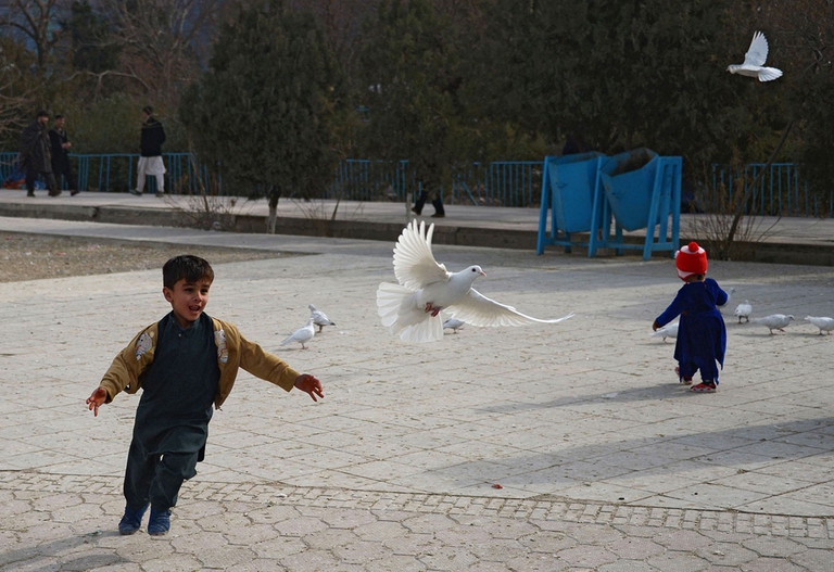 bombe Stati Uniti in Afghanistan