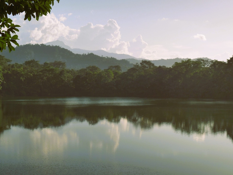 Il costo del rame in Ecuador è la lotta per la sopravvivenza del popolo amazzonico Shuar Arutam