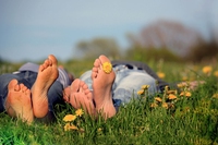 3 idee di viaggio verdi in tutti i sensi. In bed&breakfast