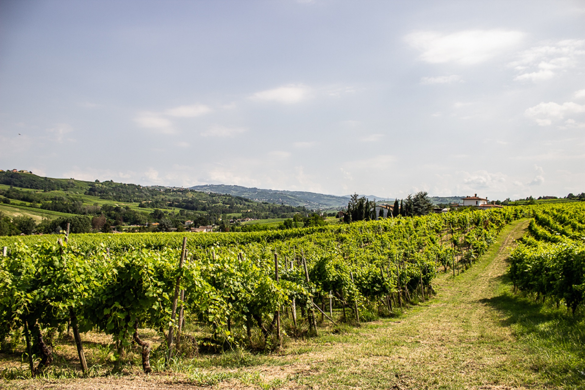 Tour in Oltrepò Pavese