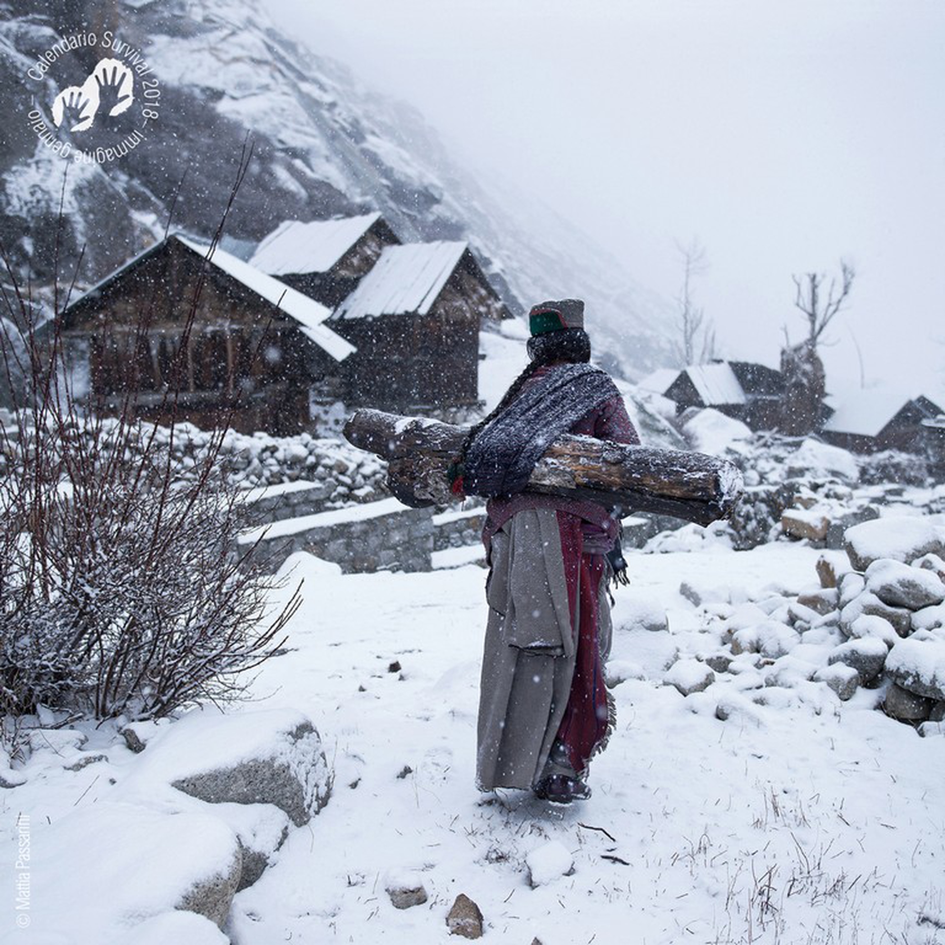 Calendario Survival International 2018, gennaio