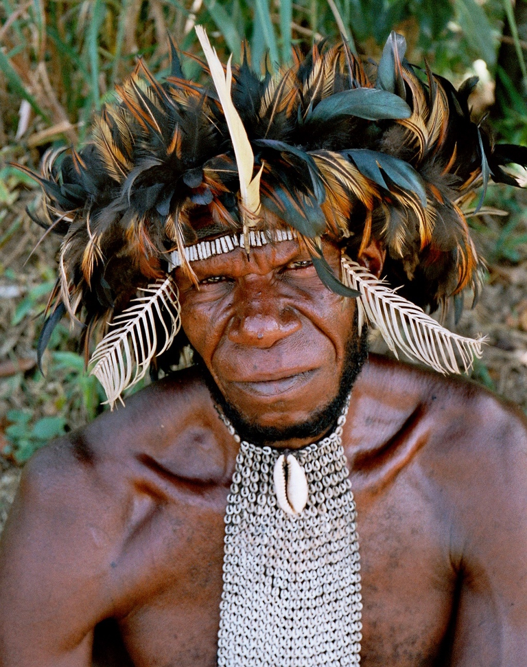 Nativo dell'Indonesia