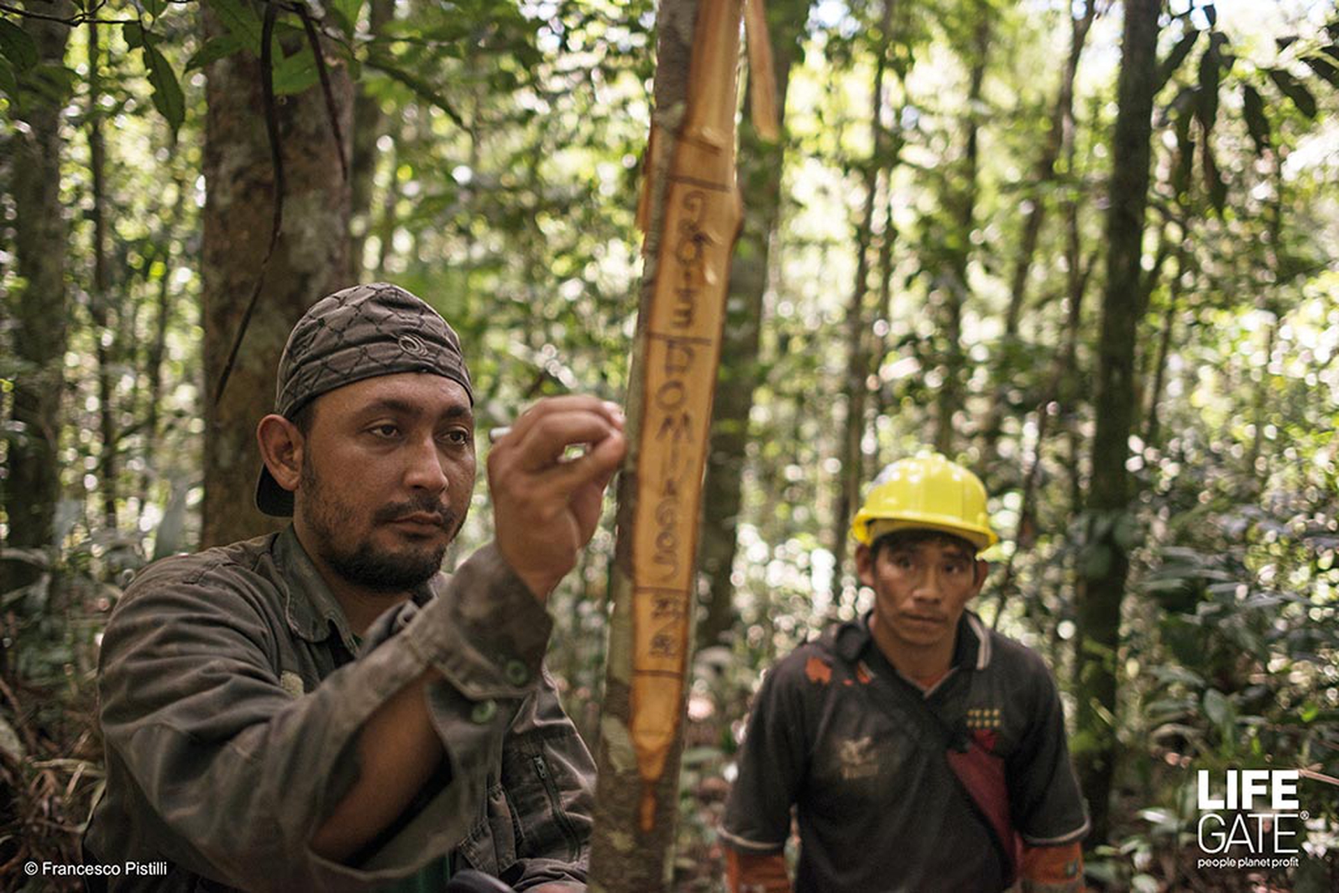 foreste-in-piedi-uomini