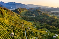 Valdobbiadene, un tour nella terra dell’arte, del vino e delle colline da sogno