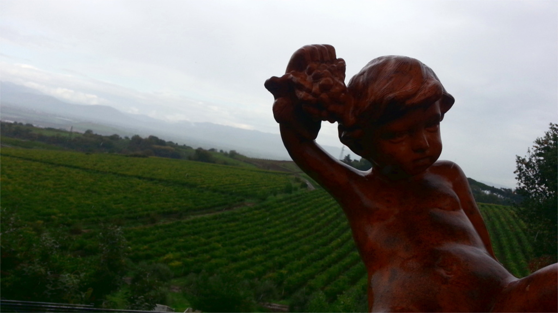 Vigna a Monteporzio, regno del vino Frascati
