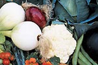 4 giorni da seed saver, con Alberto Olivucci
