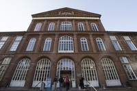 Greenwashing, ci vuole un corso universitario per smascherarlo