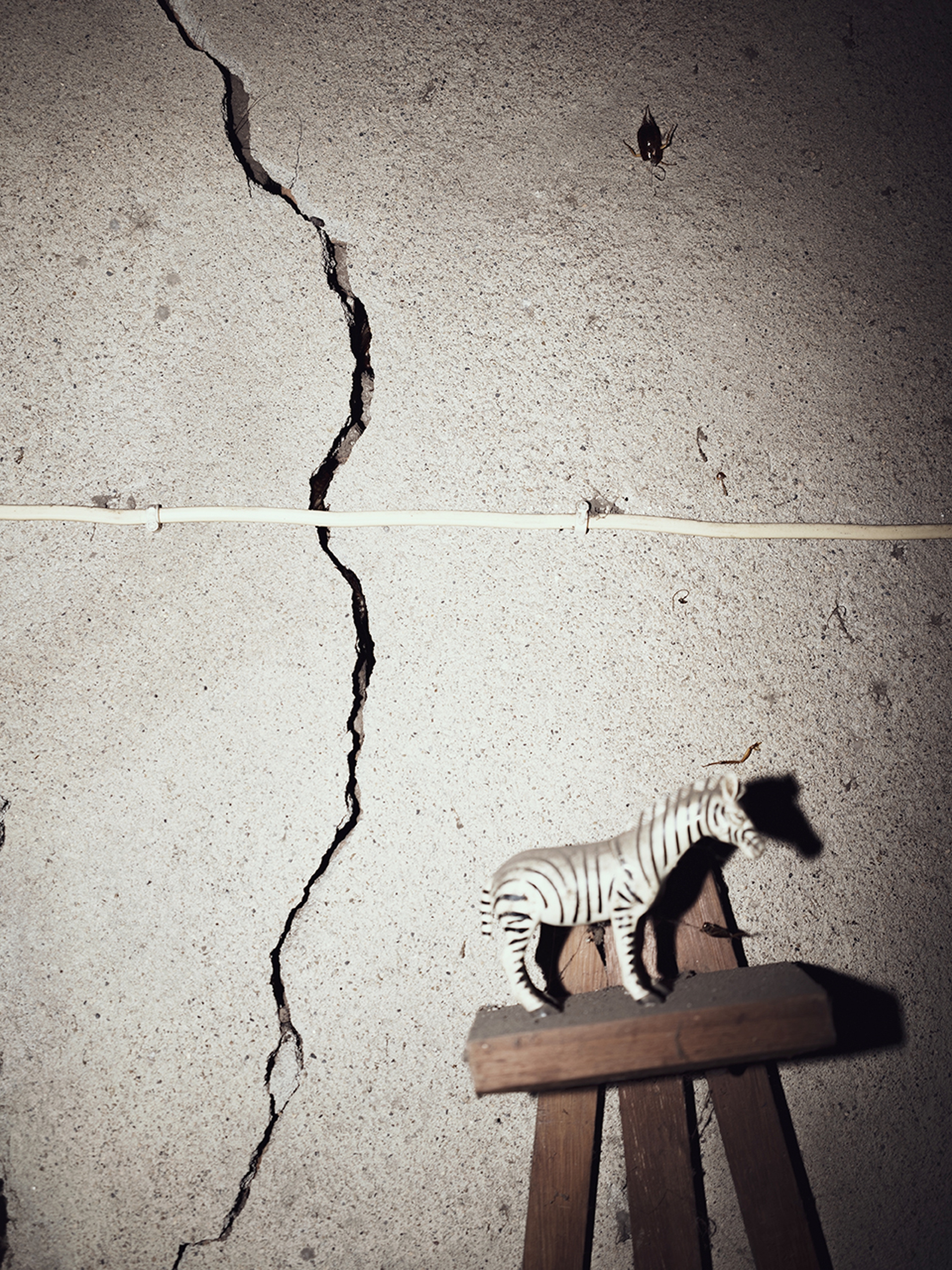 La comunità del Mozambico che si batte da sola contro l'inquinamento da carbone