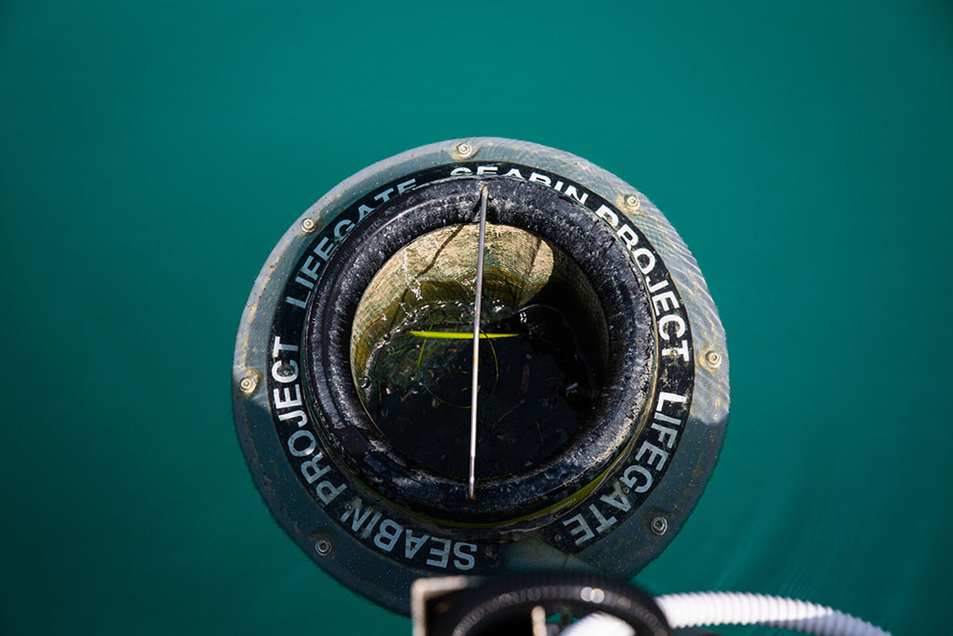 Marina Cala de' Medici, Rosignano Marittimo