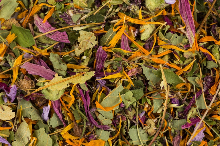 La tisana è una miscela di erbe. © Getty images