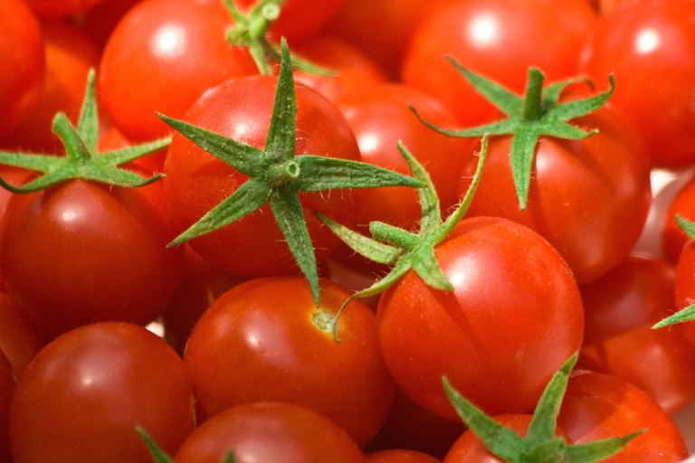 agricoltura biologica nell'Unione europea 