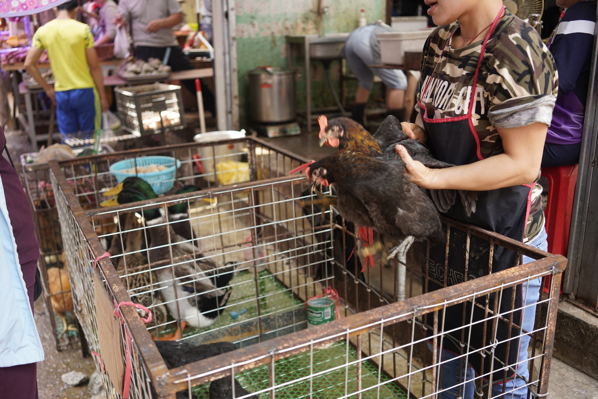 Un’immagine dai wet market in Cina
