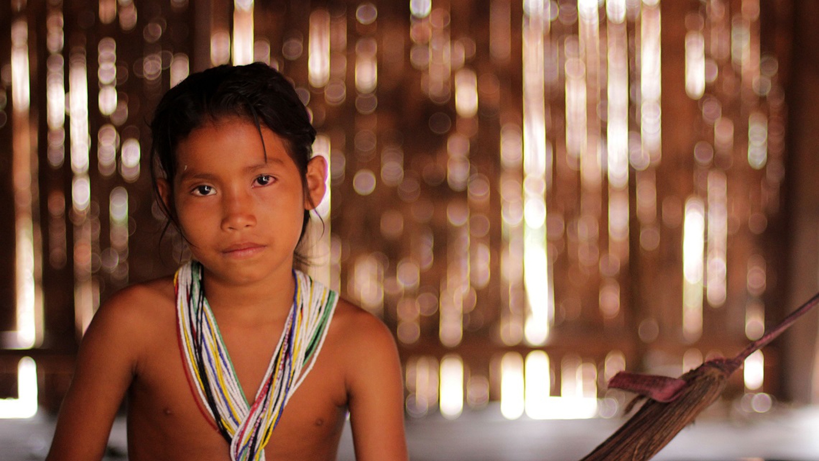 Perù, tribù indigene denunciano il governo che autorizza la ricerca di petr...