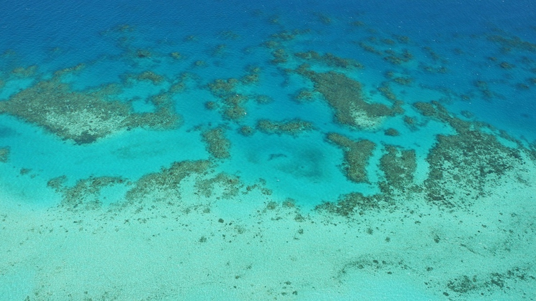 The Great Barrier Reef in Cairns Australia