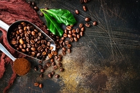 Torna il tour Lavazza ¡Tierra! con One coffee, one forest: gusta un espresso e tuteli le foreste
