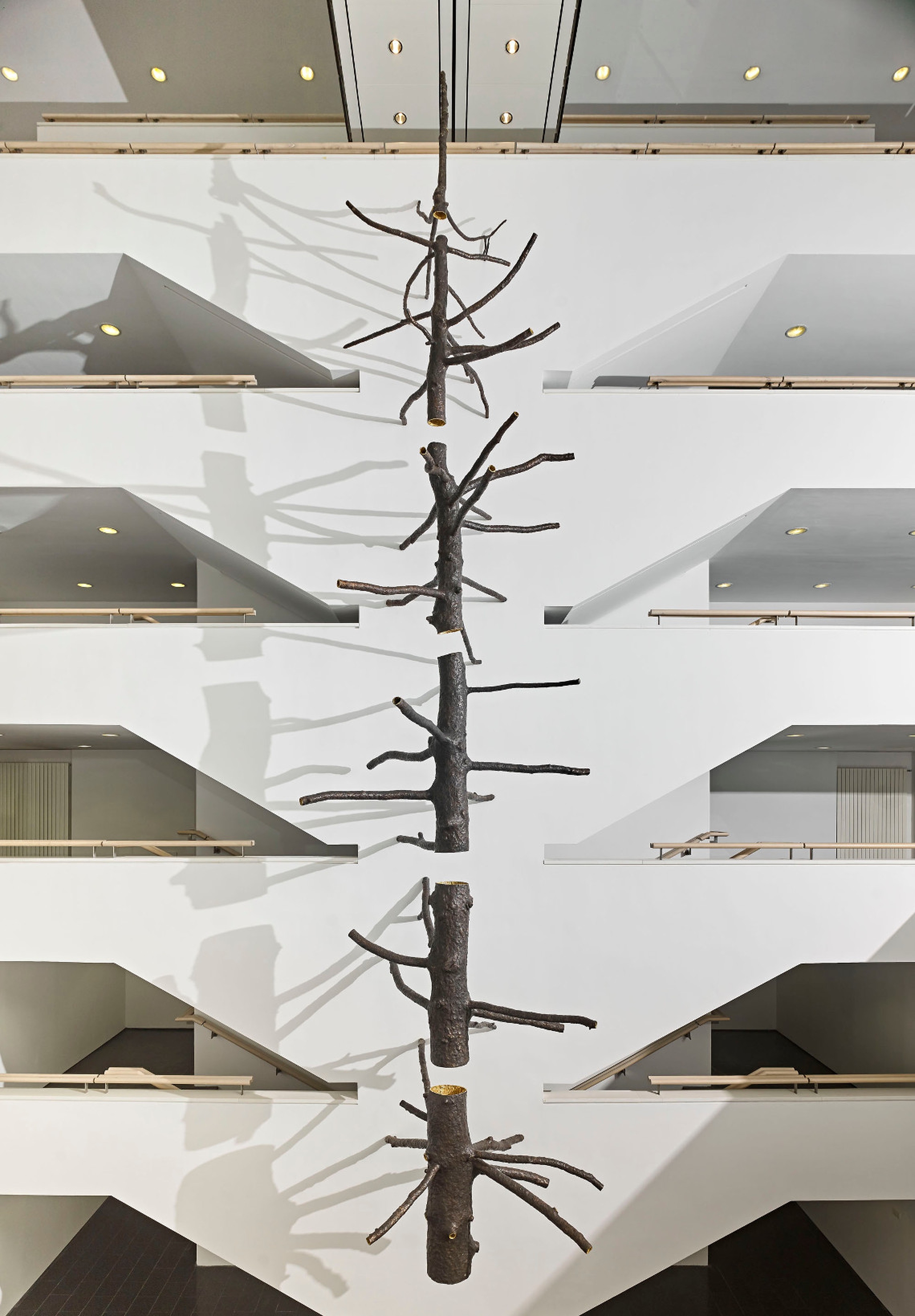 1Mart_Giuseppe Penone_Spazio di luce