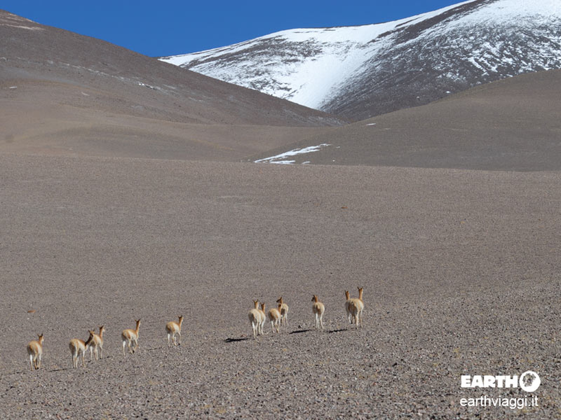 Nord dell'Argentina