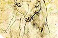 Rapporto terapeutico con il cavallo