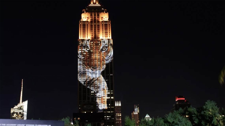 Oltre al film, l’iniziativa Racing Extinction prevede la creazione di un sito internet aggiornato con tutte le news relative al commercio di specie protette e i rischi di estinzione.