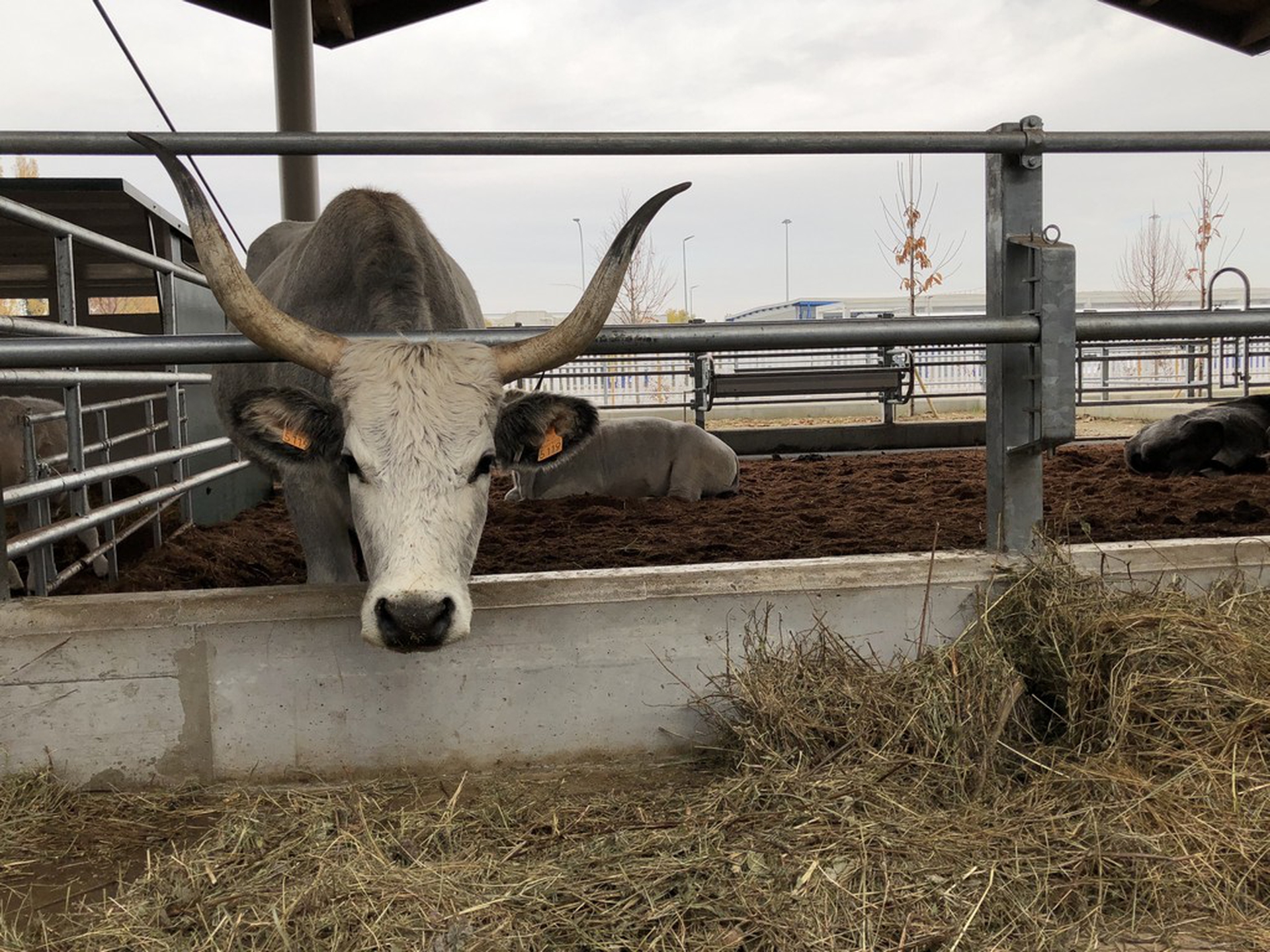 FICO Eataly World apre a Bologna il 15 novembre