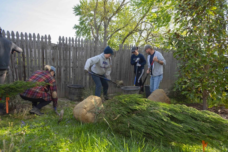 louisville-green-heart-project