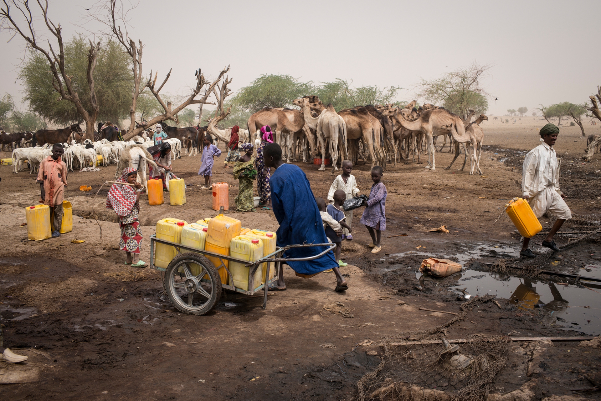 Unicef Boko Haram6146