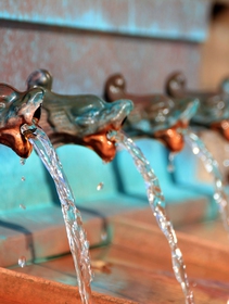 Waidy Wow, l’app smart e sostenibile amica dell’acqua e dell’ambiente
