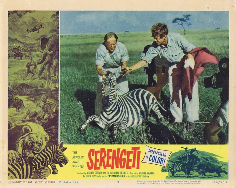 Serengeti non morirà