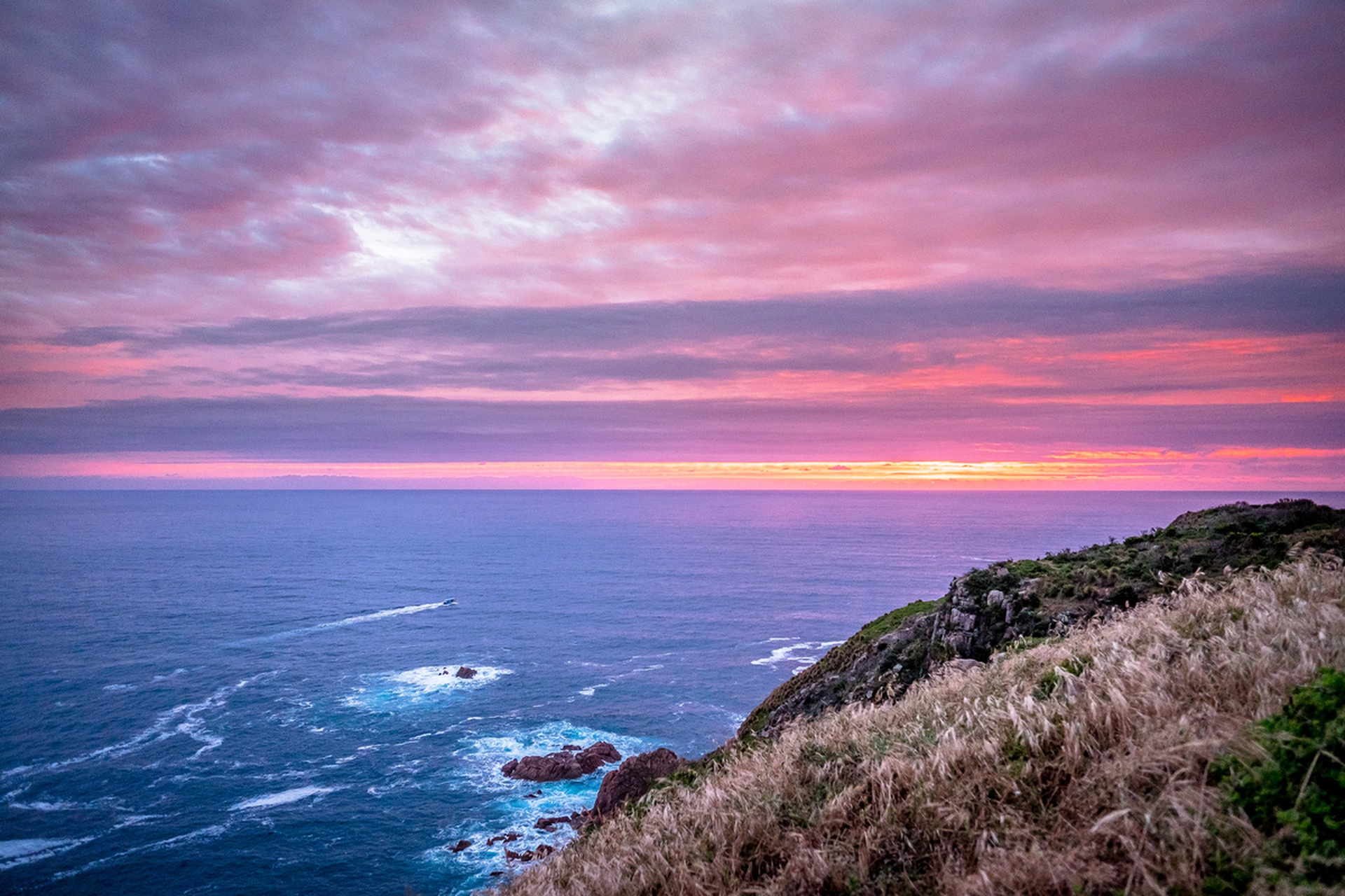I pinguini dell'isola di Phillip
