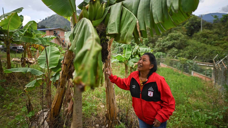 attivisti colombia, accordo di Escazú