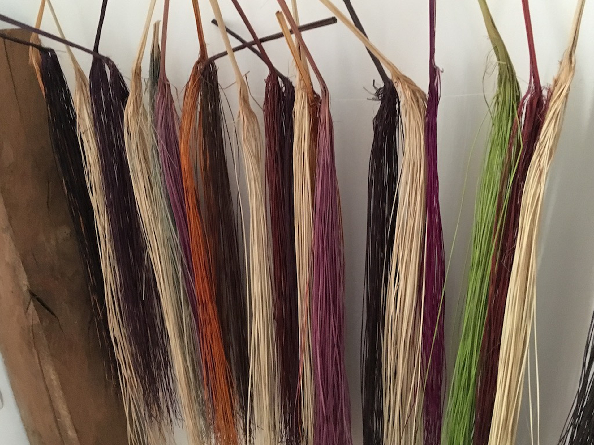 Ciuffi di paja toquilla tinti