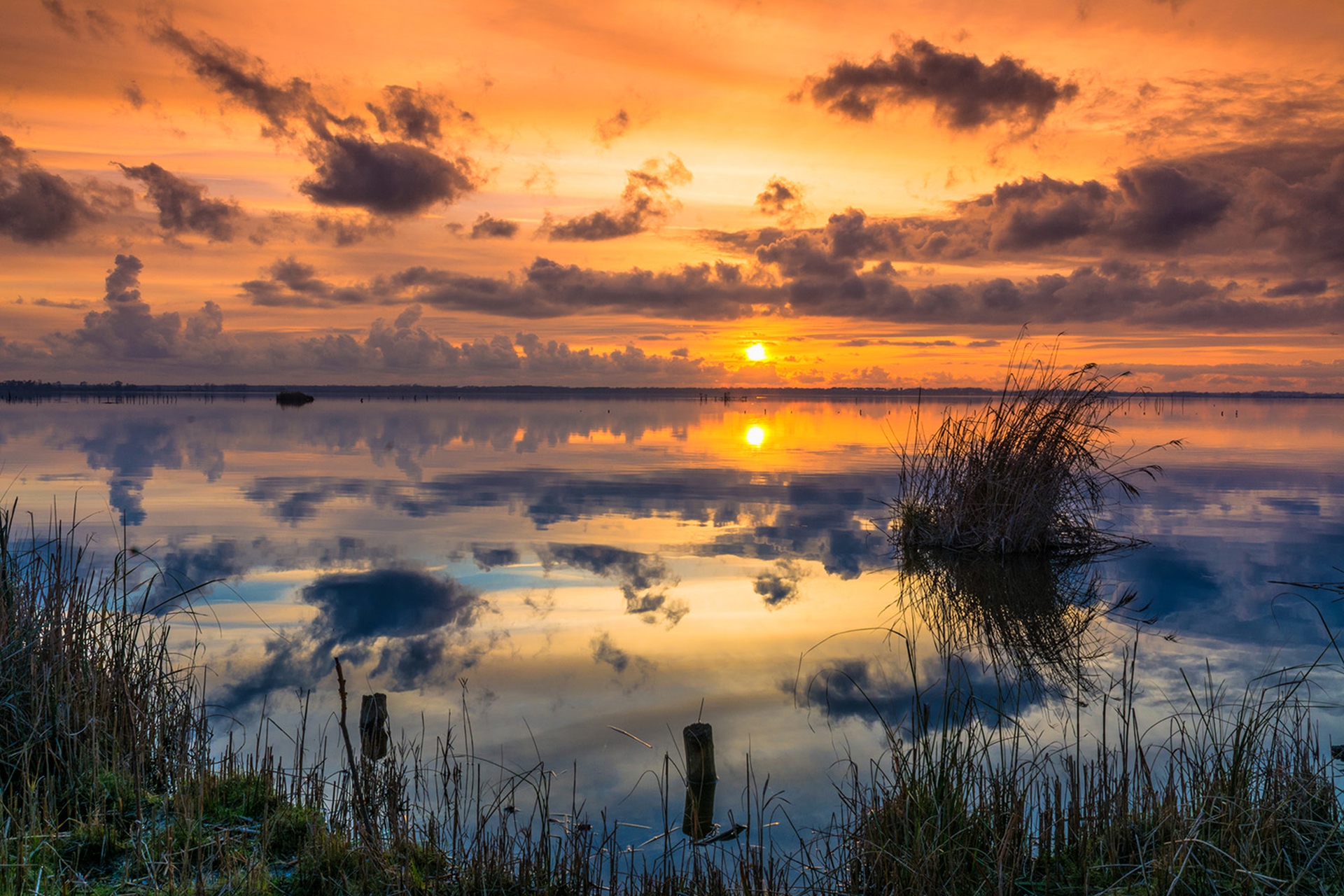 Piccoli_Gionatan_Parco di Migliarino, San Rossore, Massaciuccoli_ridotta
