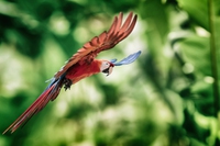 Cosa si intende per nature positive e come si può incrementare la biodiversità