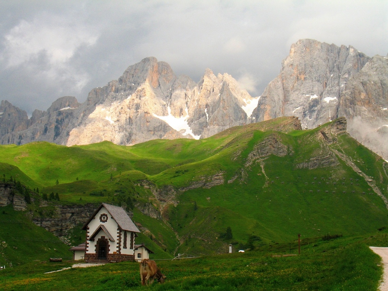 Malga e mucche in un pascolo d'alta quota sul Lagorai