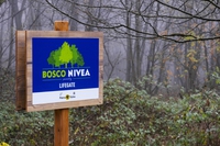 Bosco Nivea e mare protetto, Beiersdorf si unisce a LifeGate per l’ambiente